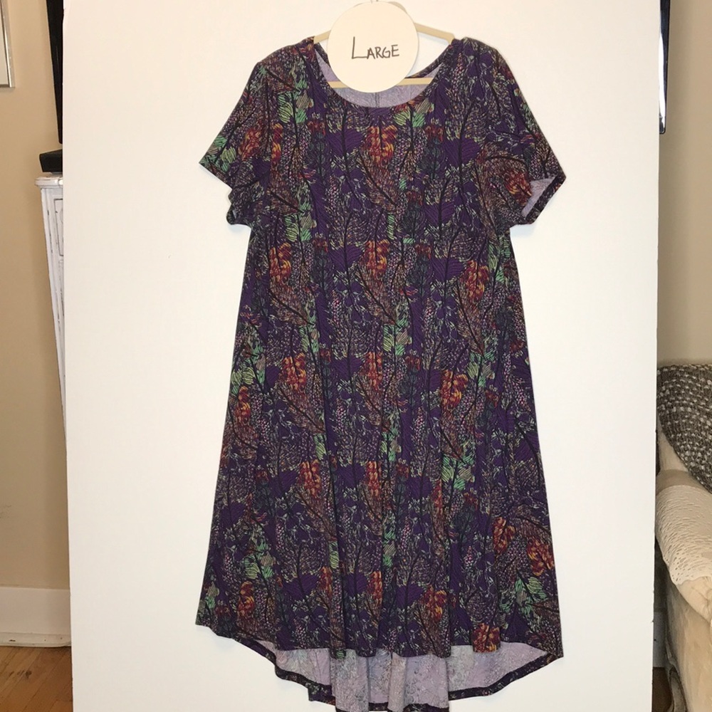 Large LuLaRoe Carly